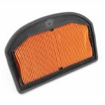 Filtro de Ar Tiger 1200 Triumph
