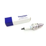 Vela de Ignição Triumph