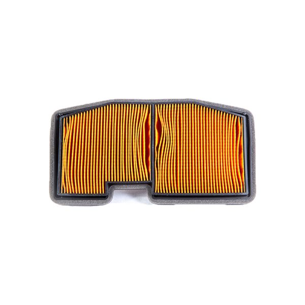 Filtro de Ar Daytona 675 R Triumph