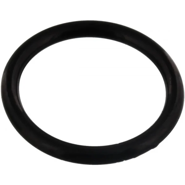 Anel O'Ring de Borracha Triumph (T3601276)