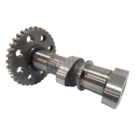 Conjunto do Eixo de Comando de Admissão Bajaj (JF511253)