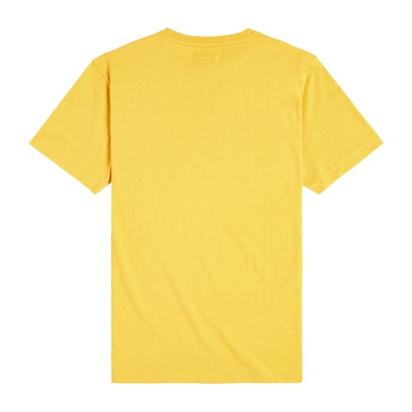 Camiseta Triumph Cartmel Gold - Imagem 2
